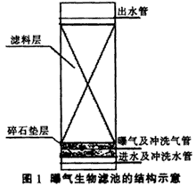 BAF)對(duì)含酚廢水的處理進(jìn)行了研究。