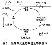 污水的湿地处理