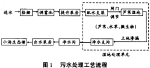 污水的湿地处理