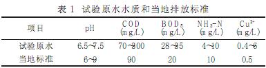 AF+BAF深度處理PCB生產(chǎn)廢水