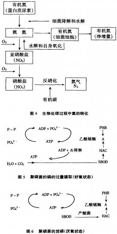 【污水处理公司】卡鲁赛尔氧化沟系统工艺演变的推动力