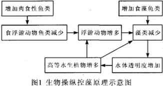 【污水处理公司】城市景观水处理技术之生态法