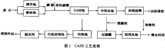 【废水处理】合成氨废水CASS工艺处理