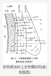 【污水处理工程】生物膜法处理水产养殖废水