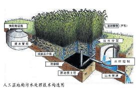 【污水处理技术】人工湿地设计经验介绍