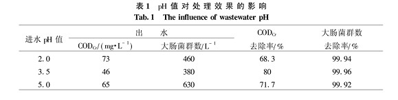 【污水处理技术】铁屑微电解法深度处理医院废水