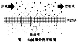 【化工废水处理】纳滤膜法脱硝工艺的工业运用