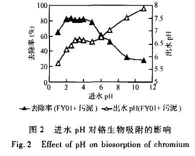 【屠宰污水处理】柱生物曝气法吸附处理含铬废水