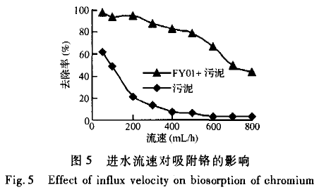 【屠宰污水处理】柱生物曝气法吸附处理含铬废水