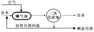 【污水处理工艺】影响微生物活性的因素