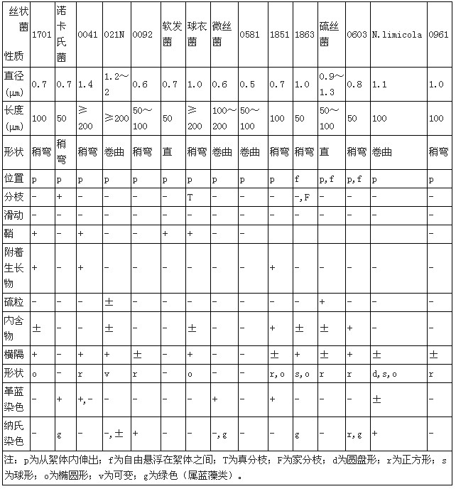 【污水处理厂】北京市高碑店污水处理厂污泥膨胀的控制