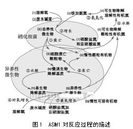 【喷漆废水处理】ASM发展及其在SBR工艺中的应用