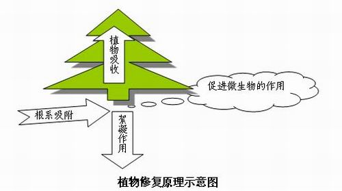 【喷漆废水处理】（景观）污染水体生物生态修复净化解决方案