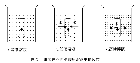 高盐污水生物处理技术